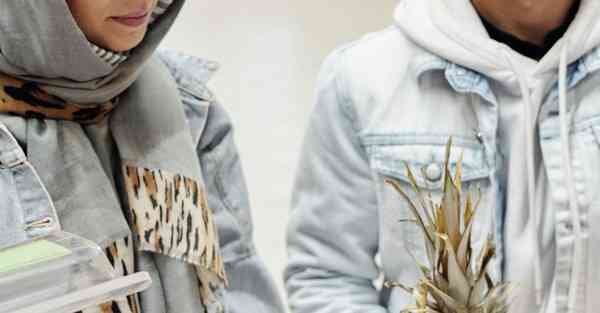 大数据影视软件