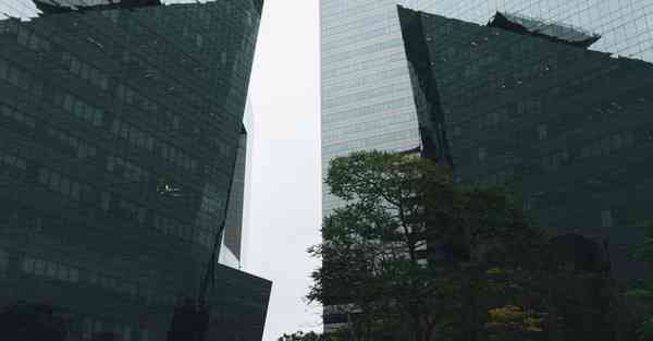 外国语单招大数据的行业文章