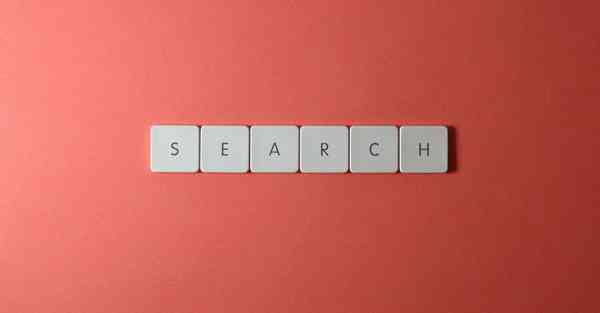 CHATGPT写形式与政策论文