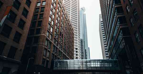 外国语单招大数据的行业文章