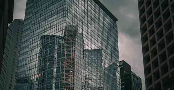 外国语单招大数据的行业文章