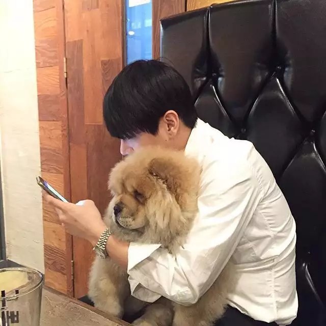 苗阅江娴