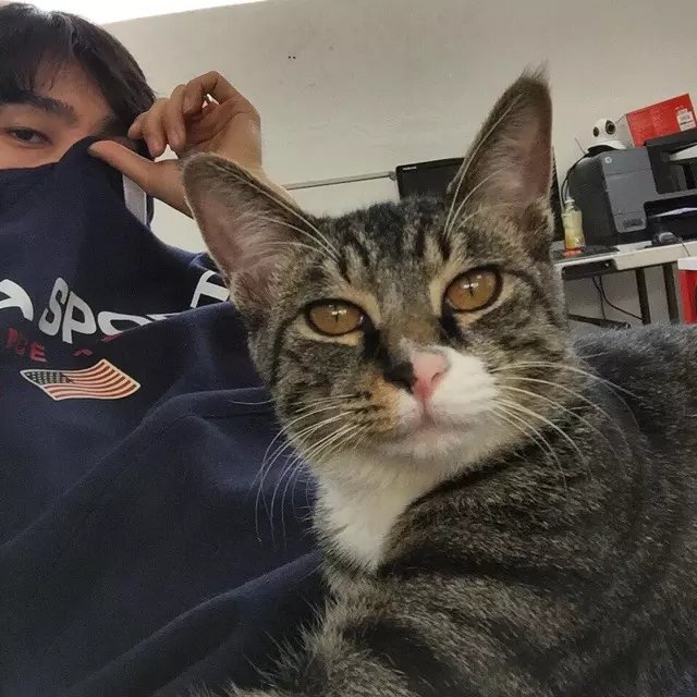 雷珊瑶亚