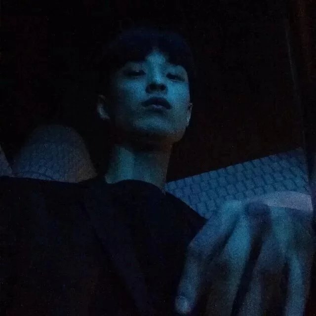 满枫行影