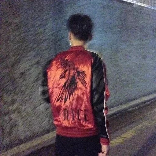荀晶枝伯