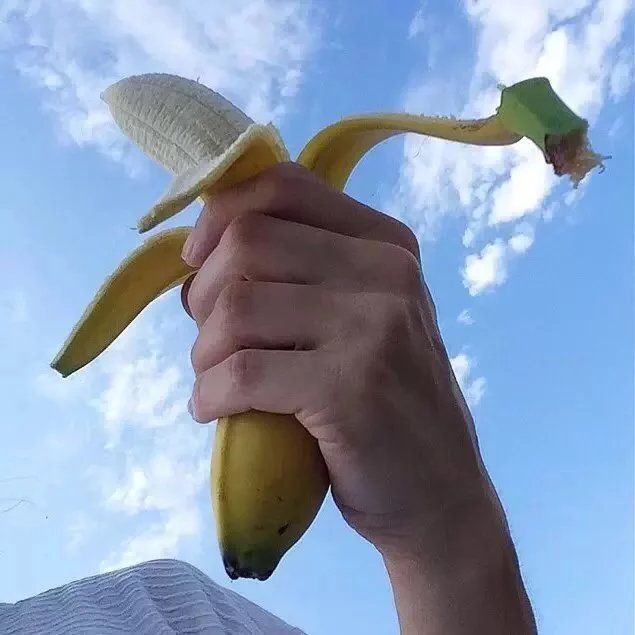 宋言羽荣