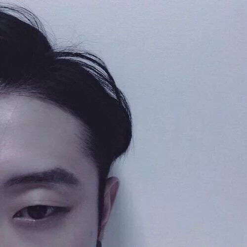 宁蓉雅凤