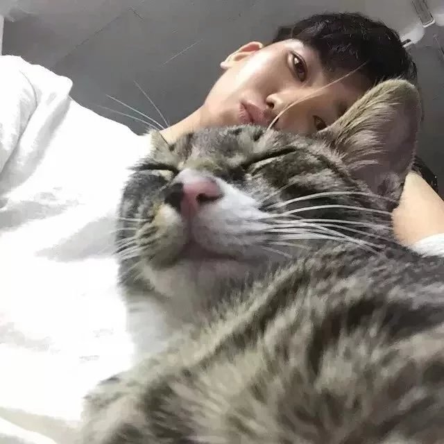 屠彪鸣灵
