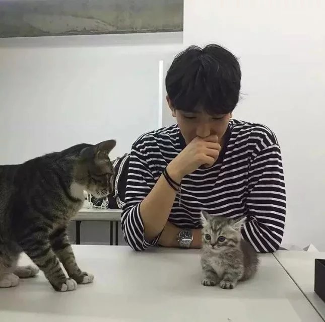 容保琦承